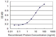 Anti-FBXO31 Mouse Monoclonal Antibody [clone: 1C5]