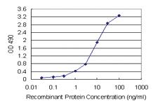 Anti-SFTPD Mouse Monoclonal Antibody (Biotin)