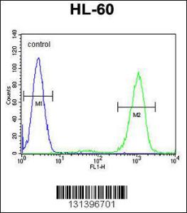 Anti-ADA Rabbit Polyclonal Antibody (HRP (Horseradish Peroxidase))