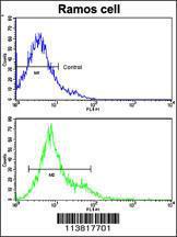 Anti-CD247 Rabbit Polyclonal Antibody (AP (Alkaline Phosphatase))