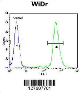 Anti-RPS6 Rabbit Polyclonal Antibody (APC (Allophycocyanin))