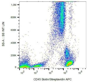 Surface staining of human peripheral blood cells with Anti-CD45 Antibody (A85893)