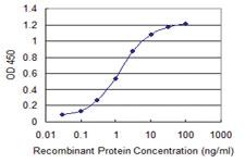 Anti-SIN3A Mouse Monoclonal Antibody [clone: 1B7]