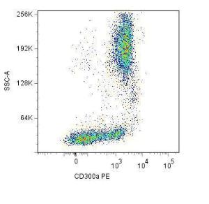 Surface staining of human peripheral blood cells with Anti-CD300a Antibody (A85896)