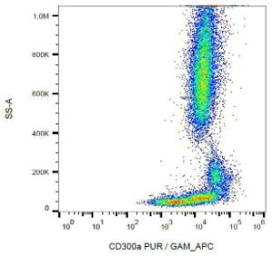 Anti-CD300a antibody