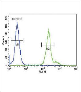 Anti-GPM6A Rabbit Polyclonal Antibody (FITC (Fluorescein Isothiocyanate))