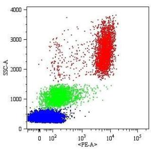 Antibody anti-CD16 MEM-154 PE