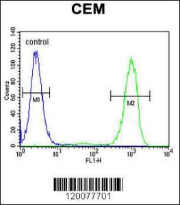 Anti-GPM6B Rabbit Polyclonal Antibody (AP (Alkaline Phosphatase))