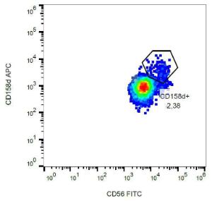 Surface staining of CD158d in human peripheral blood using Anti-CD158d Antibody (A85915)