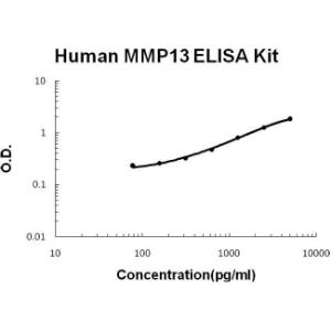 BSBTEK0468 - HUMAN MMP13 PICOKINE ELISA KIT