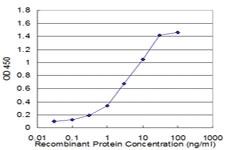 Anti-CFLAR Mouse Monoclonal Antibody [clone: 2F12]