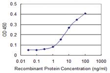 Anti-MAPK13 Mouse Monoclonal Antibody [clone: 1E6]