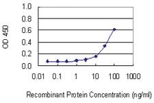 Anti-DNAJC27 Mouse Monoclonal Antibody [clone: 3C1]