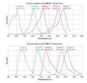 CellBrite steady combined spectra