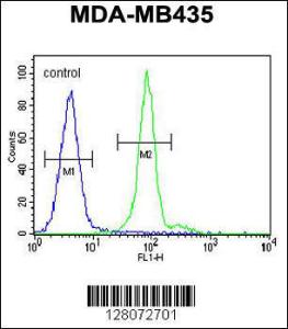 Anti-ALX4 Rabbit Polyclonal Antibody (FITC (Fluorescein Isothiocyanate))