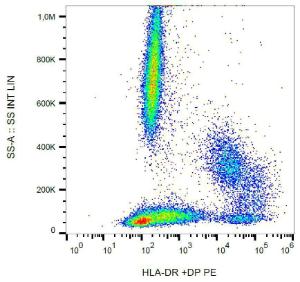 Antibody anti-HLA DR HLA DP HL-38 P