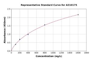 Representative standard curve for Human KCNQ1 ELISA kit (A310175)