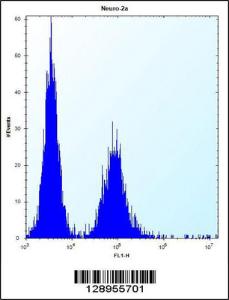 Anti-ZC3H8 Rabbit Polyclonal Antibody (FITC (Fluorescein Isothiocyanate))