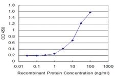 Anti-DCK Mouse Monoclonal Antibody [clone: 3E4]