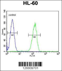 Anti-GPR142 Rabbit Polyclonal Antibody (APC (Allophycocyanin))