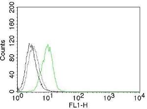 Flow cytometric analysis of HeLa cells labeling p27 with Anti-p27 KIP 1 Antibody [DCS-72.F6] (AF488) (Green). Cells alone (Black). Isotype Control (Grey).