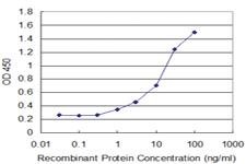 Anti-DCK Mouse Monoclonal Antibody [clone: 1G6]