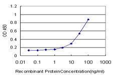 Anti-SYT1 Mouse Monoclonal Antibody [clone: 1A6]