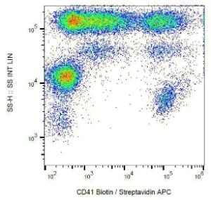 Surface staining of human platelets with Anti-CD41 Antibody (A85934)