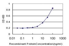 Anti-DCK Mouse Monoclonal Antibody [clone: 1D12]