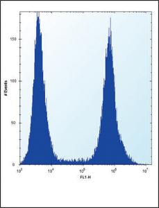 Anti-RUNX1 Rabbit Polyclonal Antibody (APC (Allophycocyanin))