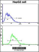 Anti-ESR2 Rabbit Polyclonal Antibody (Biotin)