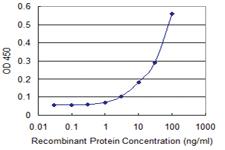 Anti-HDAC3 Mouse Monoclonal Antibody [clone: 2F9-4B7]