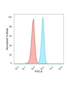 Flow cytometric analysis of PFA fixed HeLa cells using Anti-FRA2 Antibody [PCRP-FOSL2-1B1] followed by Goat Anti-Mouse IgG (CF&#174; 488) (Blue). Isotype Control (Red)