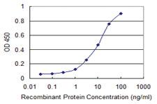 Anti-GOLM1 Mouse Monoclonal Antibody [clone: 3B10]