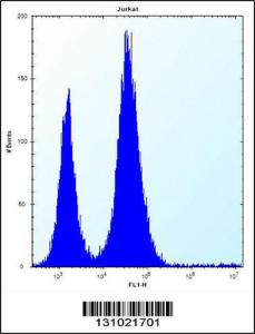 Anti-RBL2 Rabbit Polyclonal Antibody (AP (Alkaline Phosphatase))