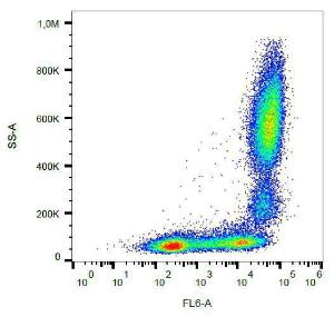 Surface staining of human peripheral blood with Anti-CD11b Antibody (A85941)