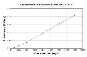 Representative standard curve for human Bim ELISA kit (A314177)