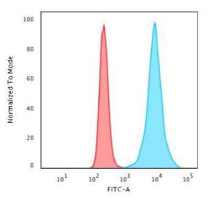 Flow cytometric analysis of HeLa cells using Anti-Histone H1 Antibody [r1415-1] followed by Goat Anti-Mouse IgG (CF&#174; 488) (Blue). Isotype Control (Red).