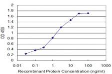 Anti-MAX Mouse Monoclonal Antibody [clone: 4E10-1A9]