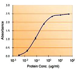 Anti-SERPINE1 Goat Polyclonal Antibody