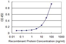 Anti-APOBEC3C Mouse Monoclonal Antibody [clone: 3E6]