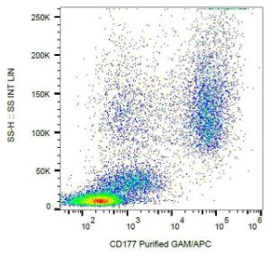 Surface staining of human peripheral blood cells with Anti-CD177 Antibody (A85951)