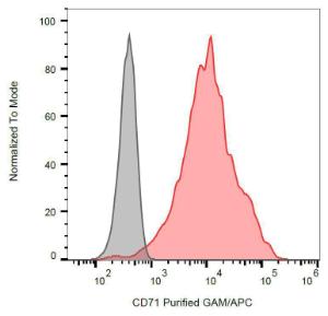 Anti-CD71 Mouse Monoclonal Antibody [Clone: MEM-189]