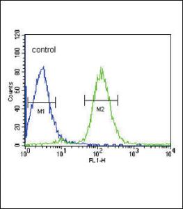 Anti-VHL Rabbit Polyclonal Antibody (AP (Alkaline Phosphatase))