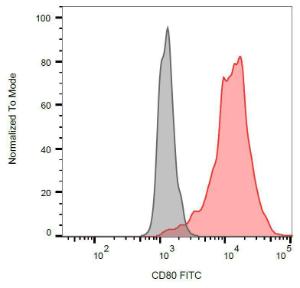 Surface staining of CD80-transfected P815 cells with Anti-CD80 Antibody (A85960)