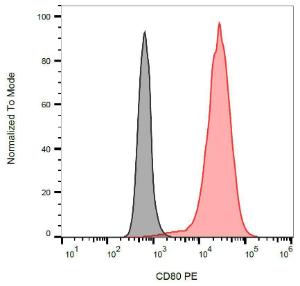 Surface staining of CD80-transfected P815 cells with Anti-CD80 Antibody (A85961)