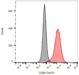 Surface staining of CD80-transfected P815 cells with Anti-CD80 Antibody (A85962)