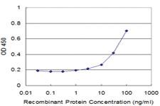 Anti-BAG4 Mouse Monoclonal Antibody [clone: 2G9]