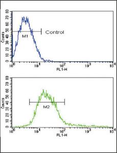 Anti-ADAM17 Rabbit Polyclonal Antibody (APC (Allophycocyanin))