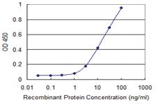 Anti-CBFA2T2 Mouse Monoclonal Antibody [clone: 3A2]